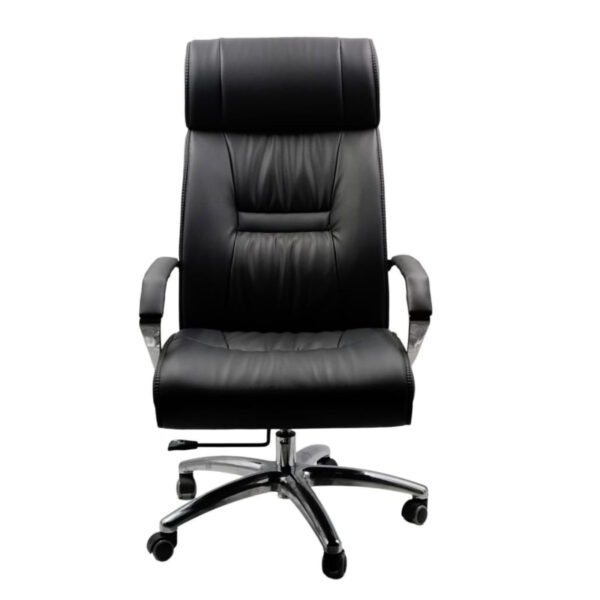 Executive Chair 510 - Image 3