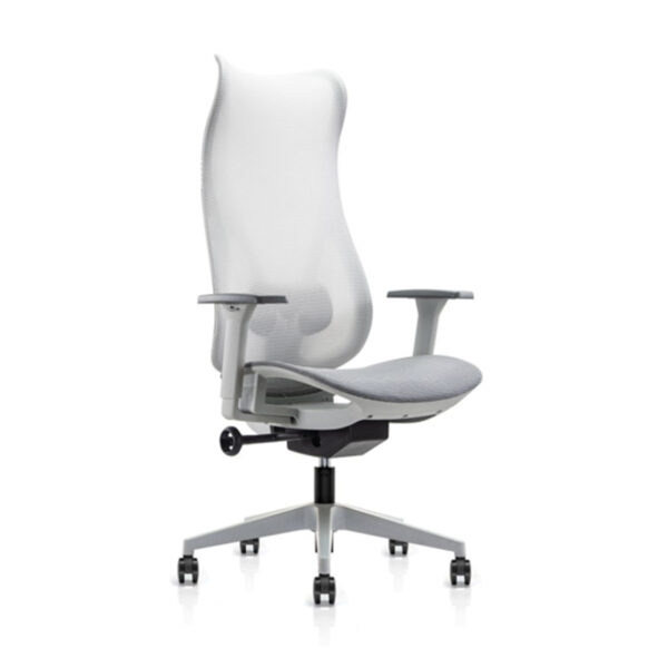 MS-003 - Image 2